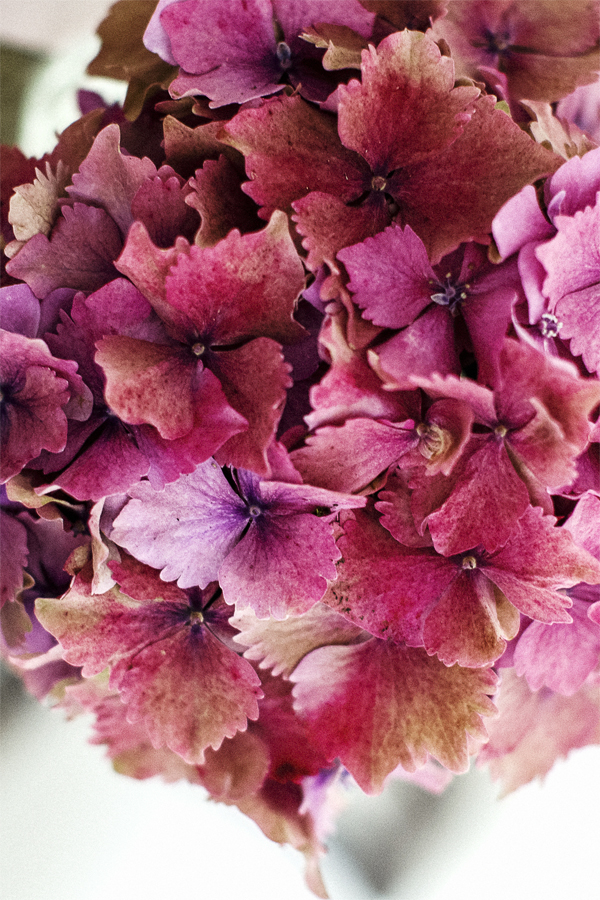 weddign flowers