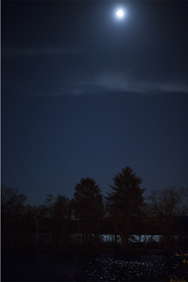 moon light over loch lomond at cameron house