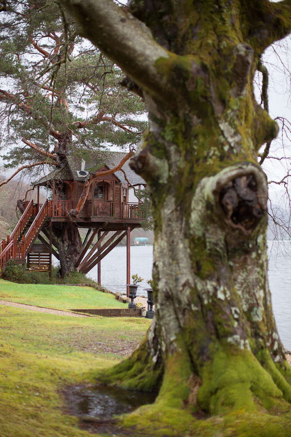tree house wedding venue