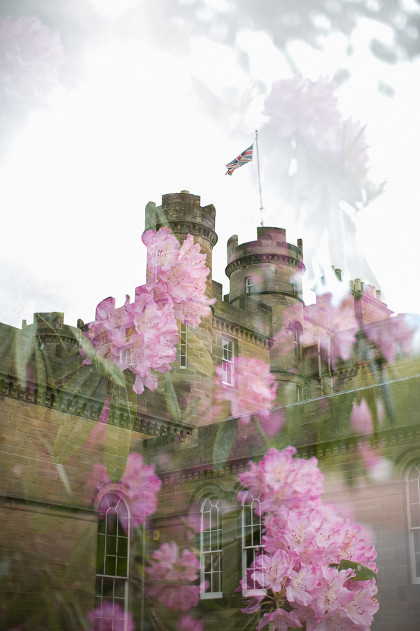 collage of oxenford castle and flowers fotogenic of scotland