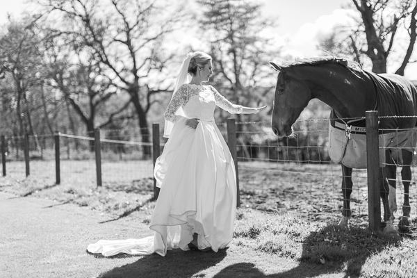 bride touching a horse 