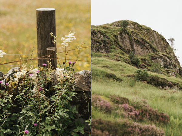 nature at loch goil