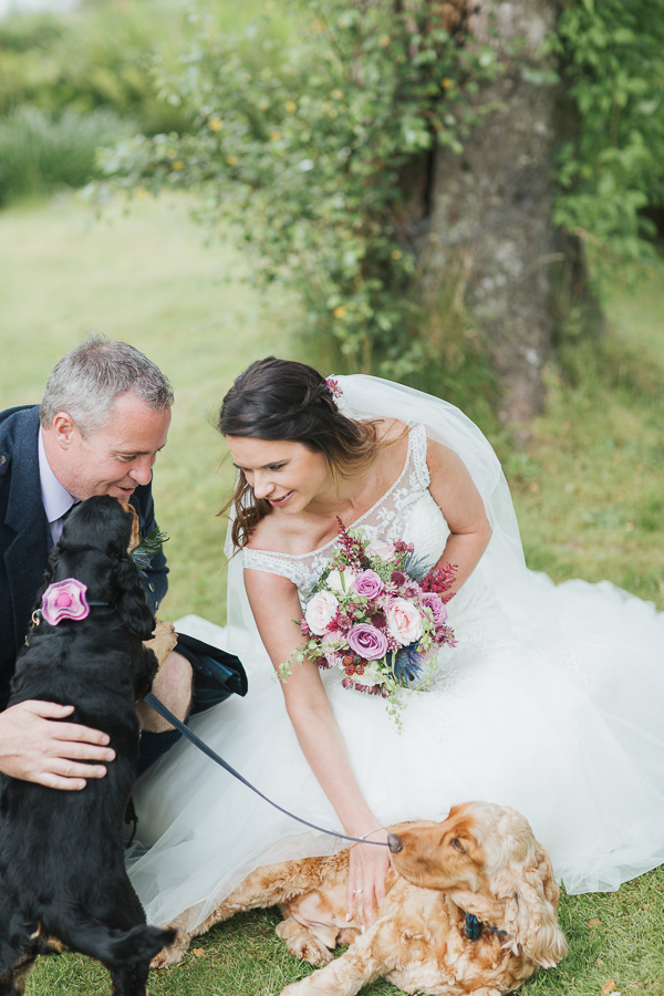 bride and groom with dogs at pet friendly venue