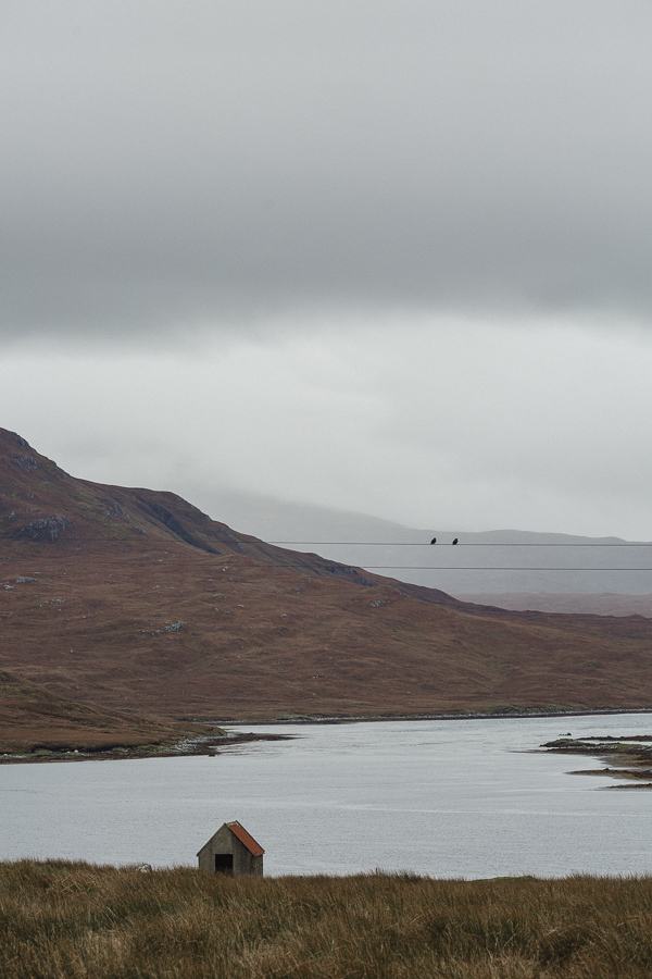 two birds sitting on a wire in the landscape