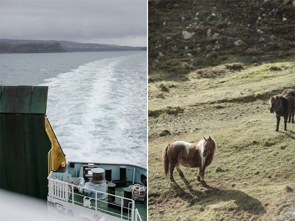 ferry to isle of harris and shetland ponnies