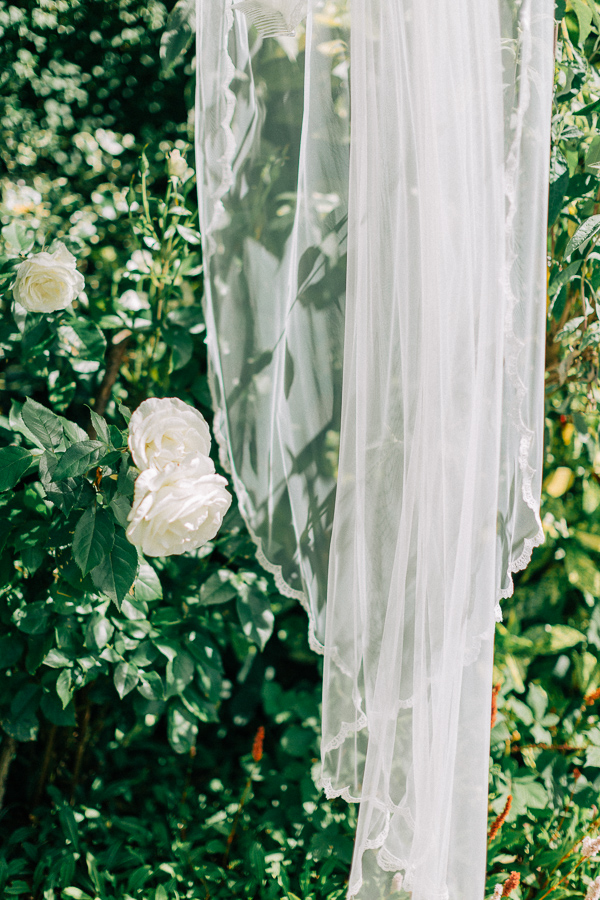 the vel and roses 