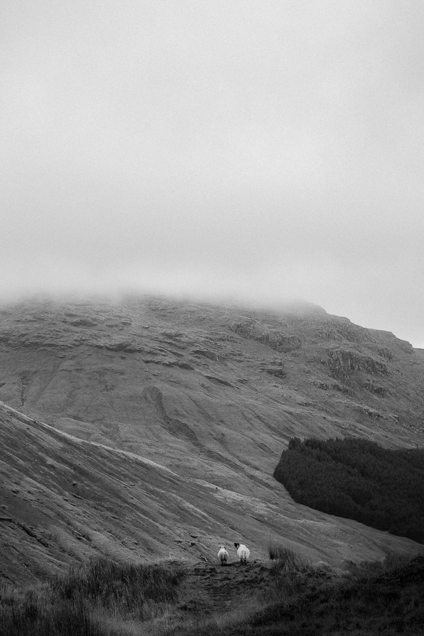 two sheep standing on the edge of a clif the rest and be thankful