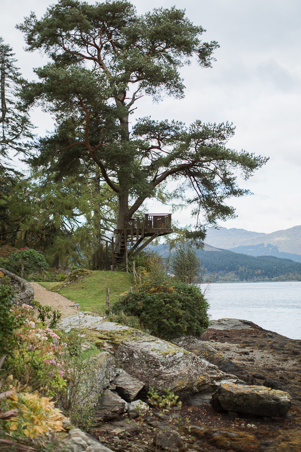 tree with viewing point suspended over scottish loch