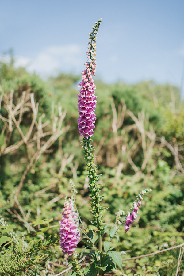 flowers at troon golf course