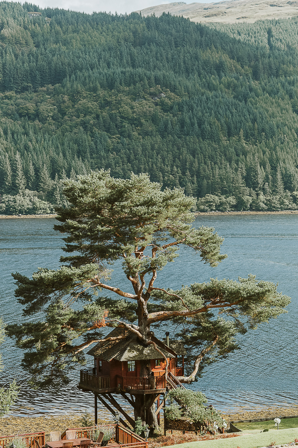 amazing tree house scotland