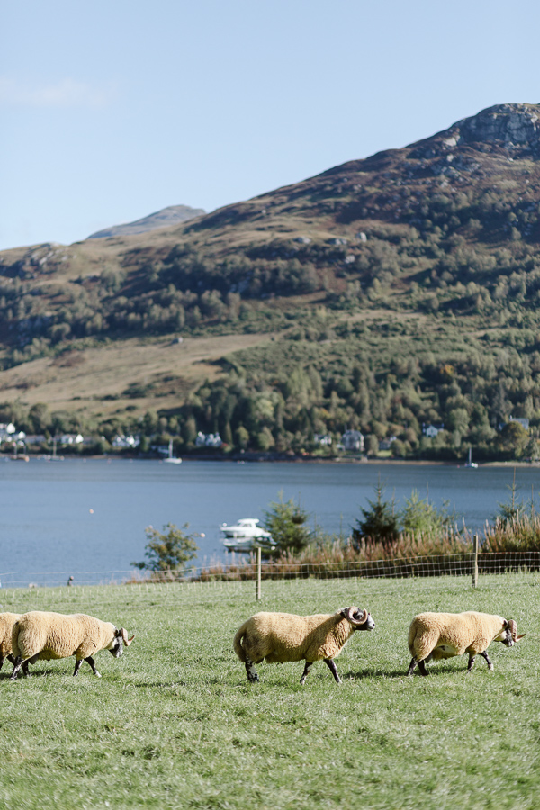 Wedding Photographers Glasgow The Lodge on Loch Goil 1