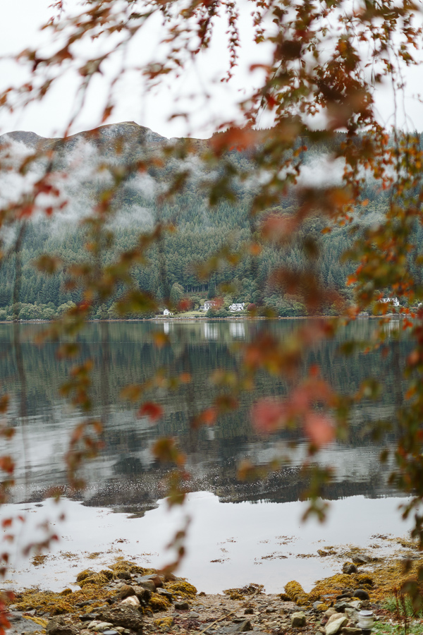 veiw form the beech tree on loch goil on the wedding day scotland