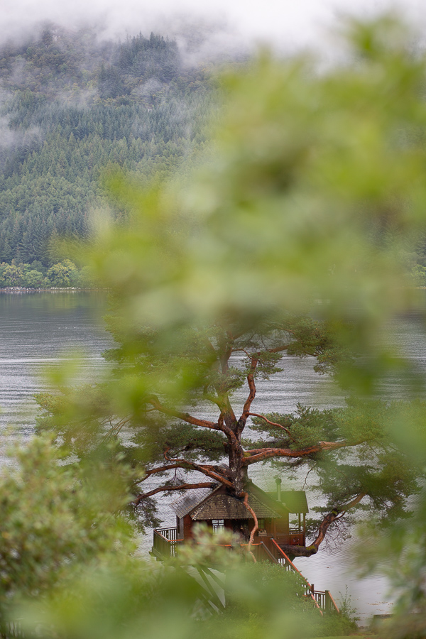 samll wedding in the tree house on loch goil