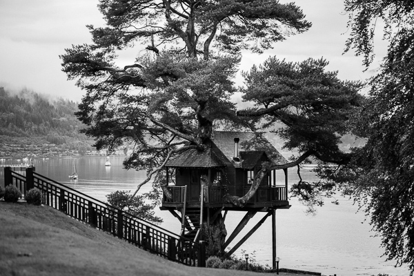 black and white picture of the tree house 
